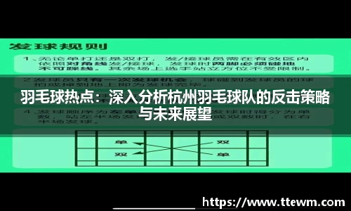 羽毛球热点：深入分析杭州羽毛球队的反击策略与未来展望